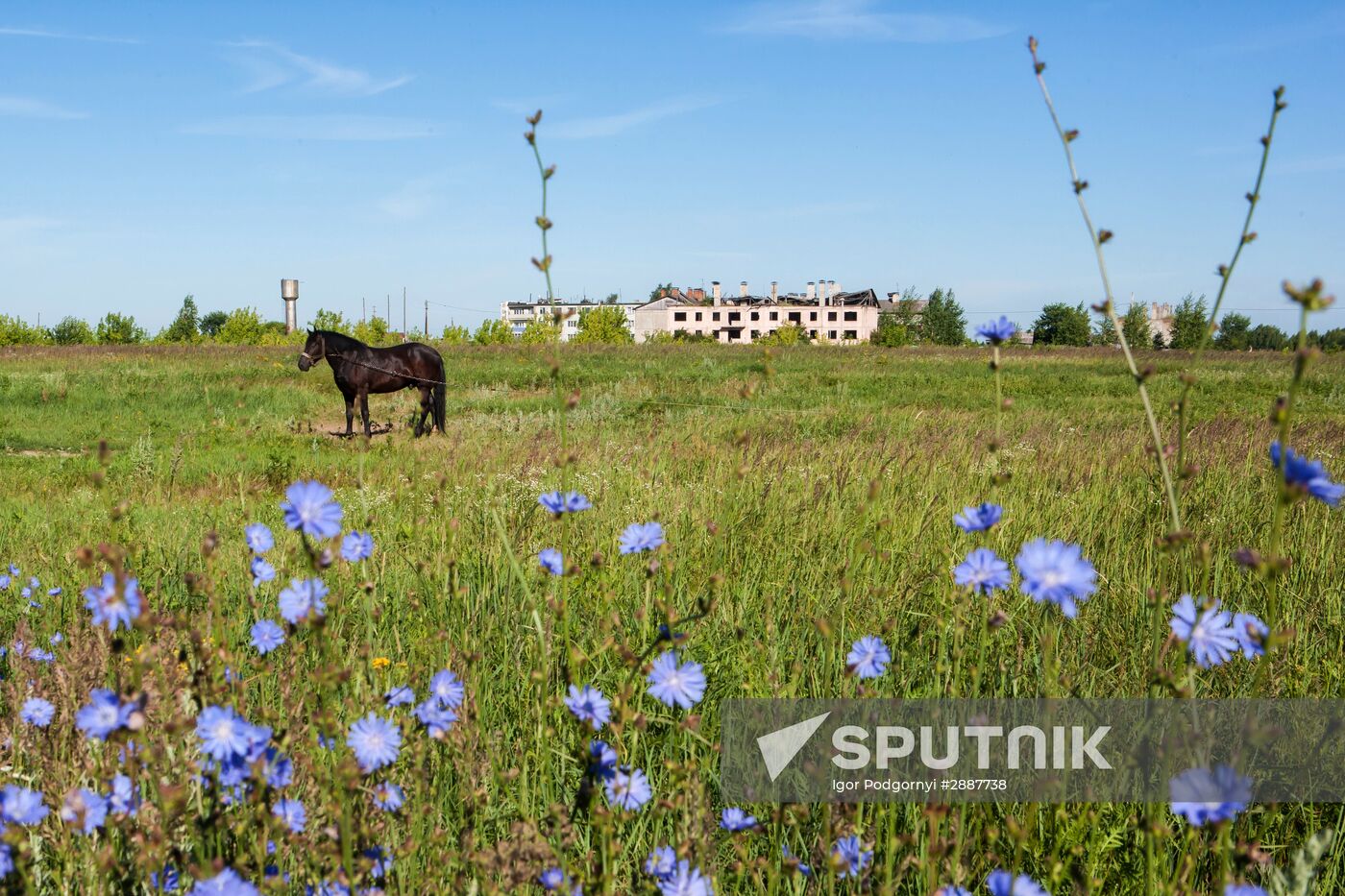 Russian regions. Ryazan Region