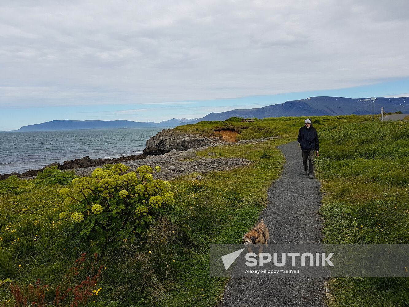 World cities. Reykjavik