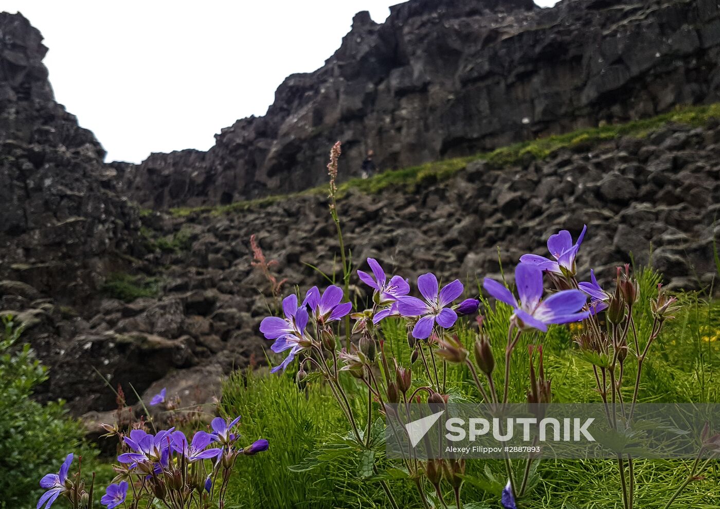 Countries of the world. Iceland