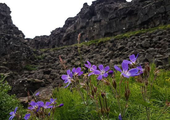 Countries of the world. Iceland