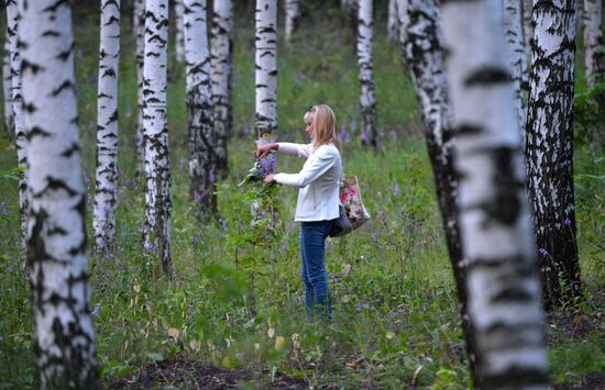 Ivan Kupala Day celebrations in Tatarstan