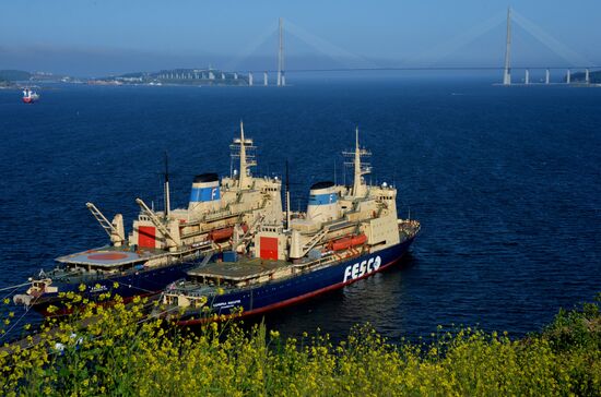 FESCO transport company icebreakers in Vladivostok