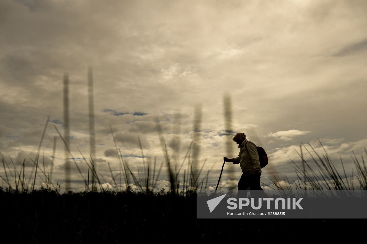 Religious procession to Svyatoye Lake in Menyusha village, Novgorod Region