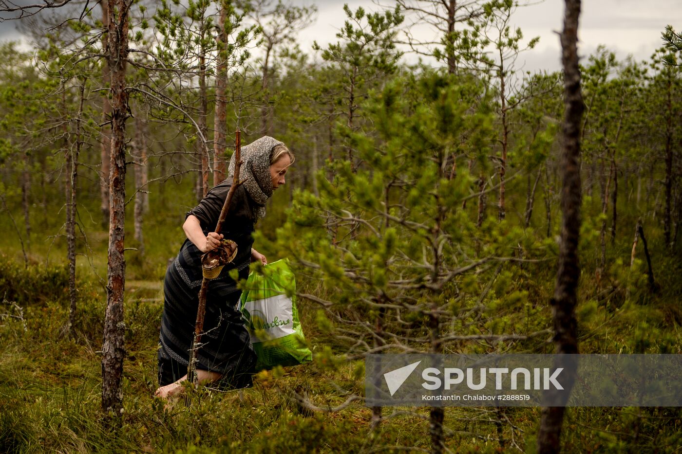 Religious procession to Svyatoye Lake in Menyusha village, Novgorod Region