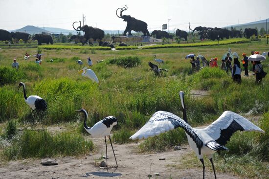 Cities of the world. Manzhouli
