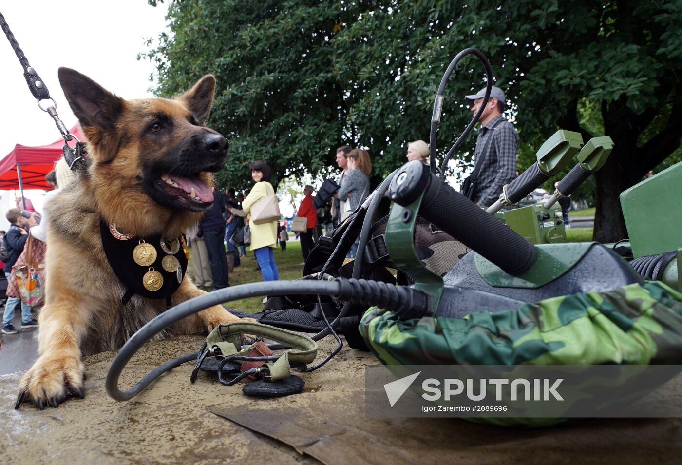 Baltic Fleet showcases weapons during City Day celebration