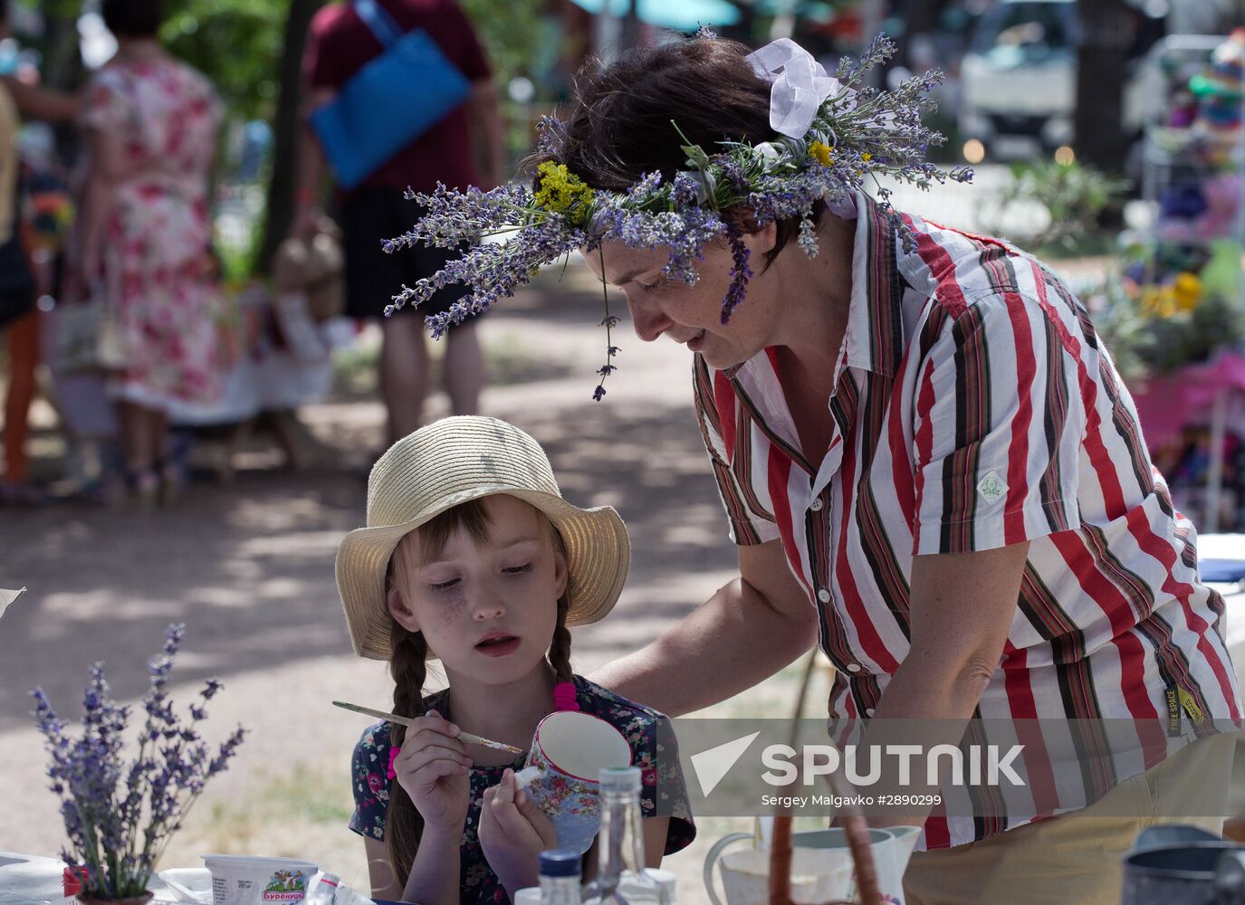 Lavender blooming in Crimea