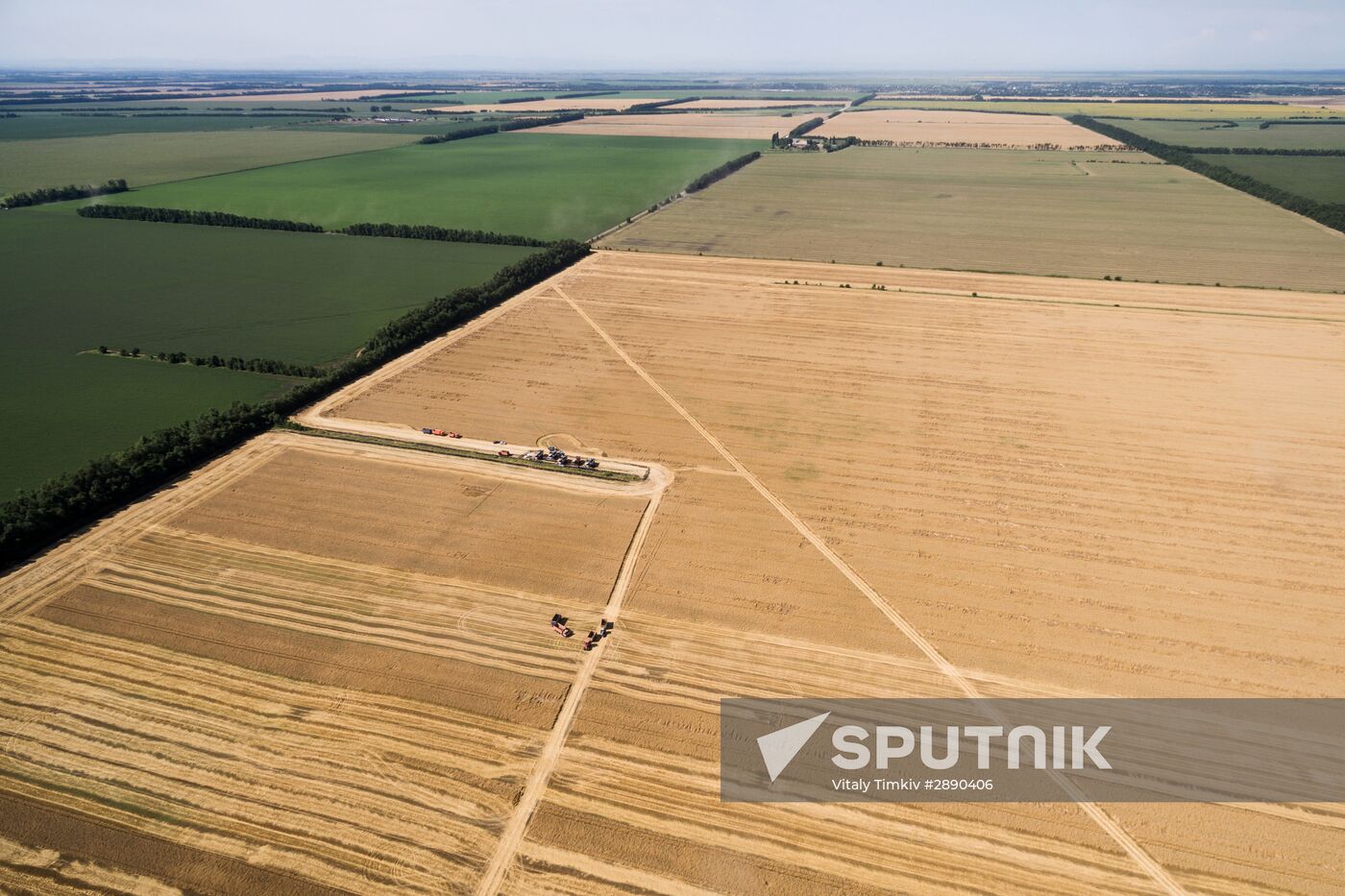 Wheat harvest in Krasnodar Territory