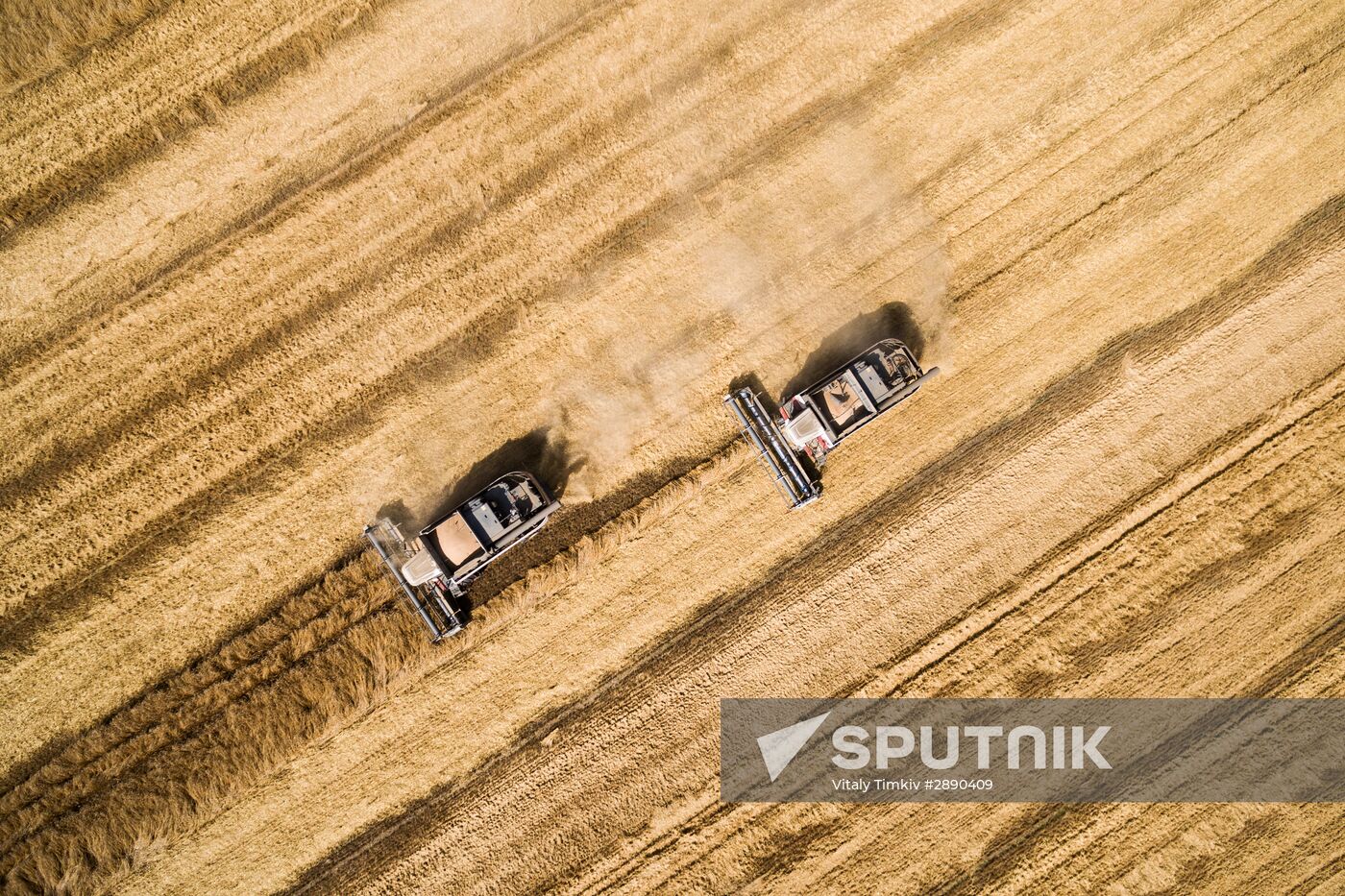 Wheat harvest in Krasnodar Territory