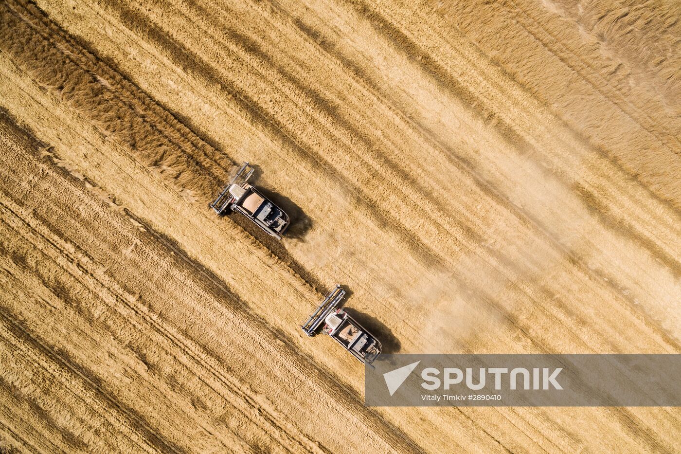 Wheat harvest in Krasnodar Territory