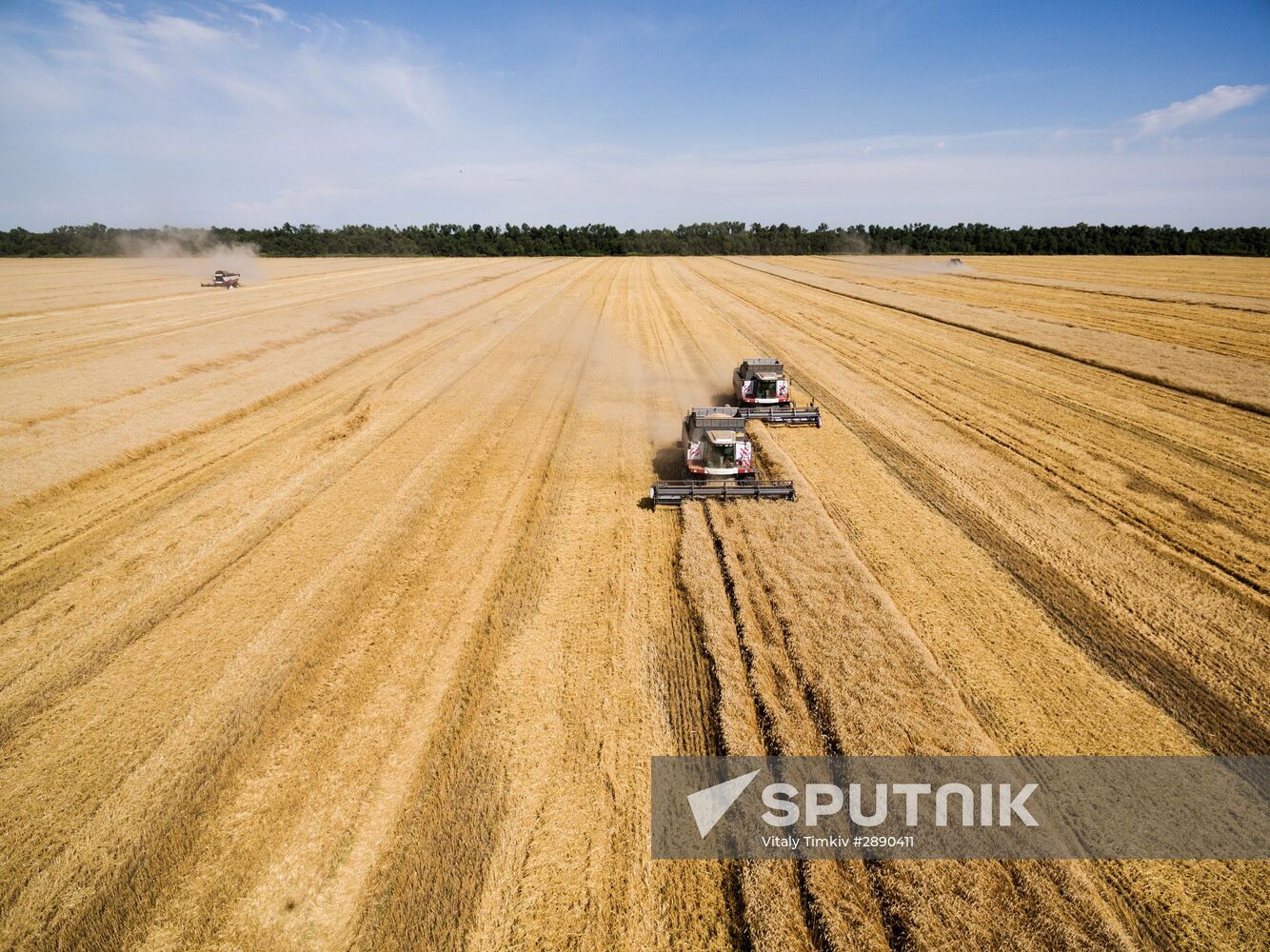 Wheat harvest in Krasnodar Territory