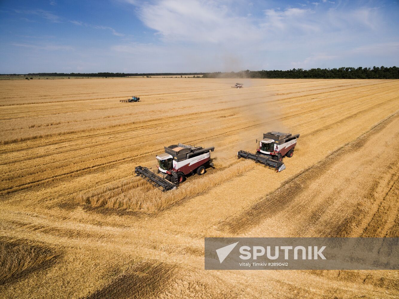 Wheat harvest in Krasnodar Territory