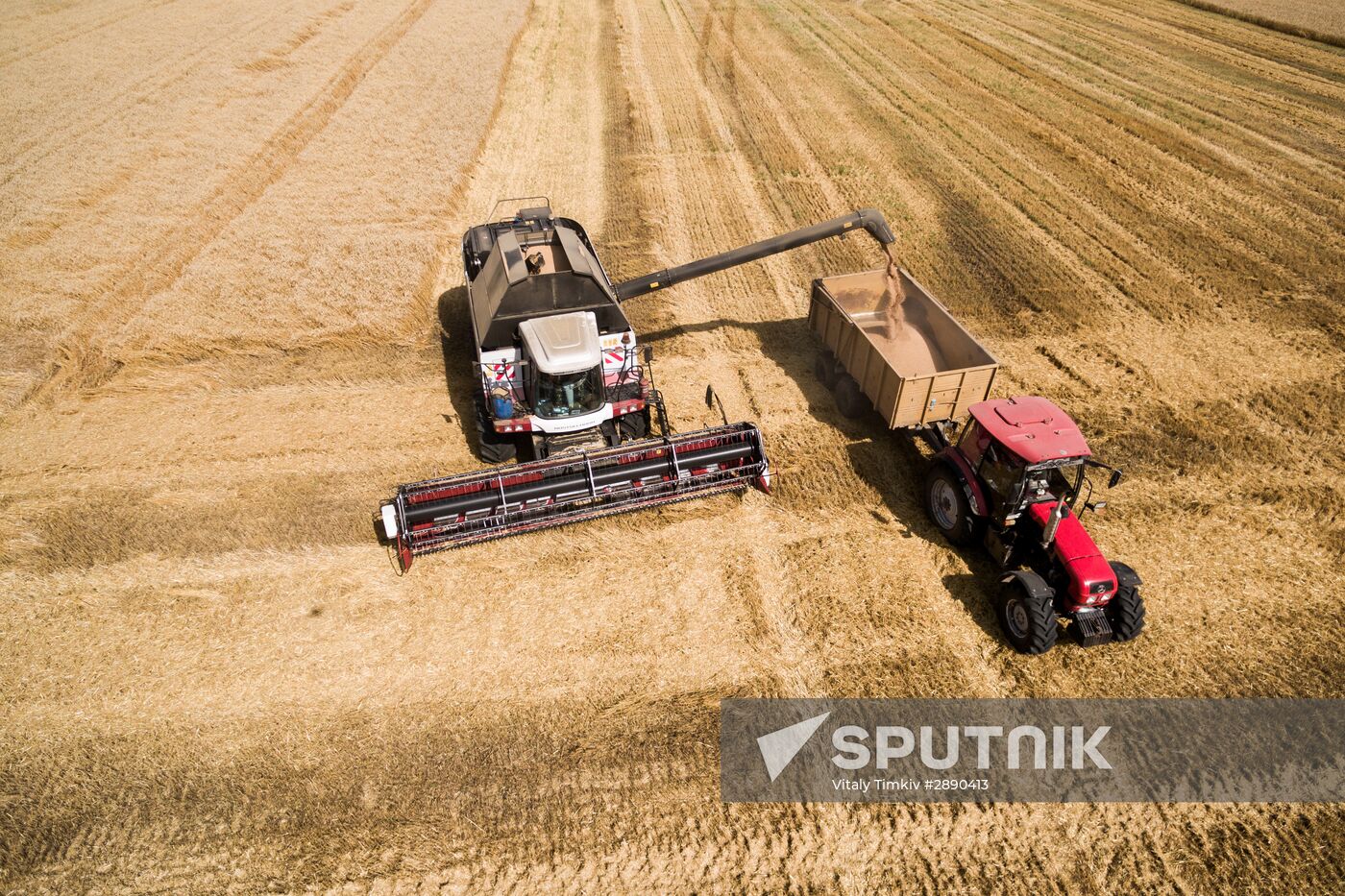 Wheat harvest in Krasnodar Territory