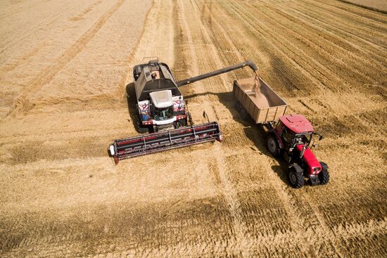Wheat harvest in Krasnodar Territory
