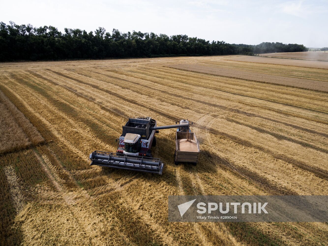 Wheat harvest in Krasnodar Territory