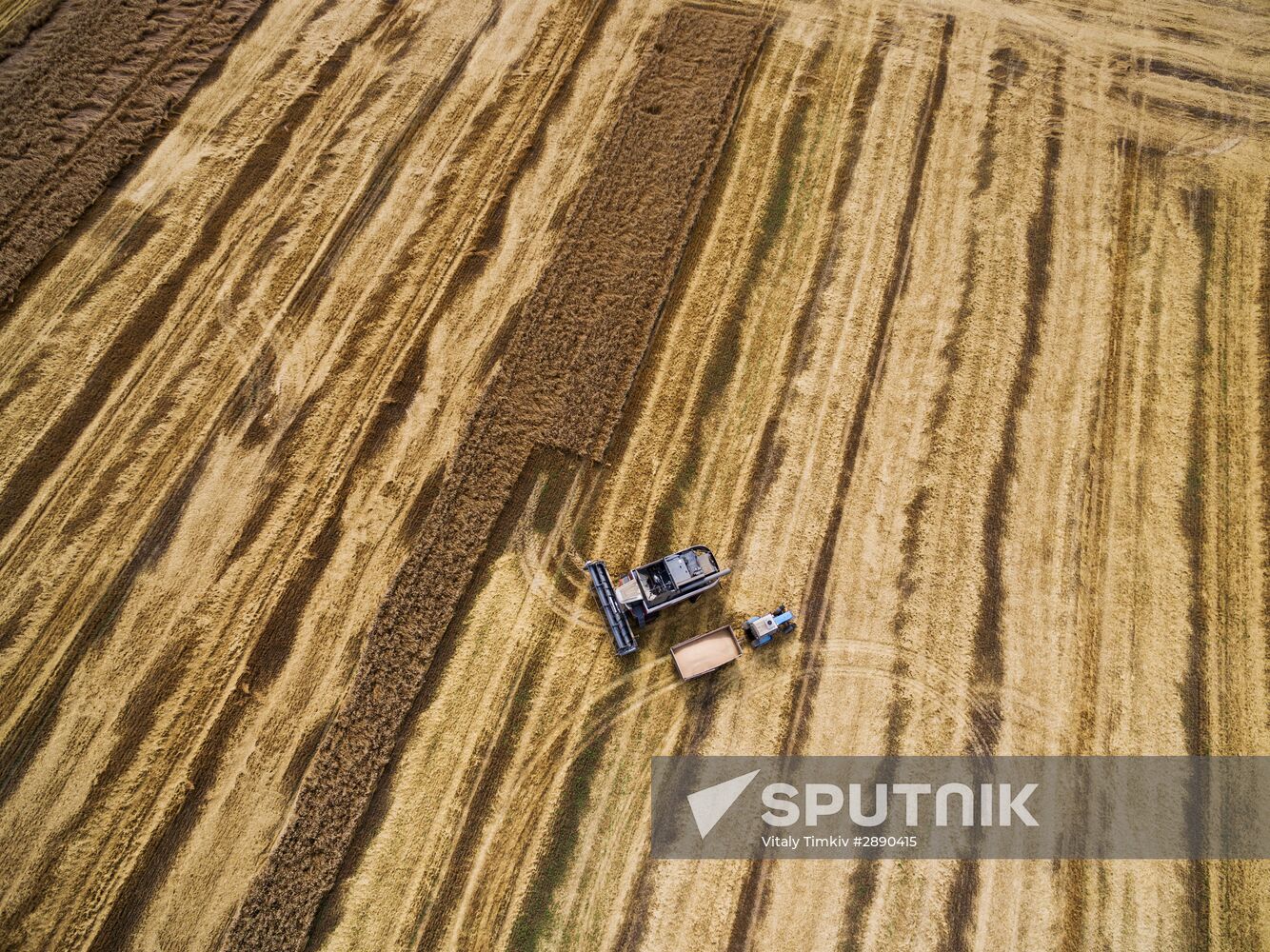 Wheat harvest in Krasnodar Territory