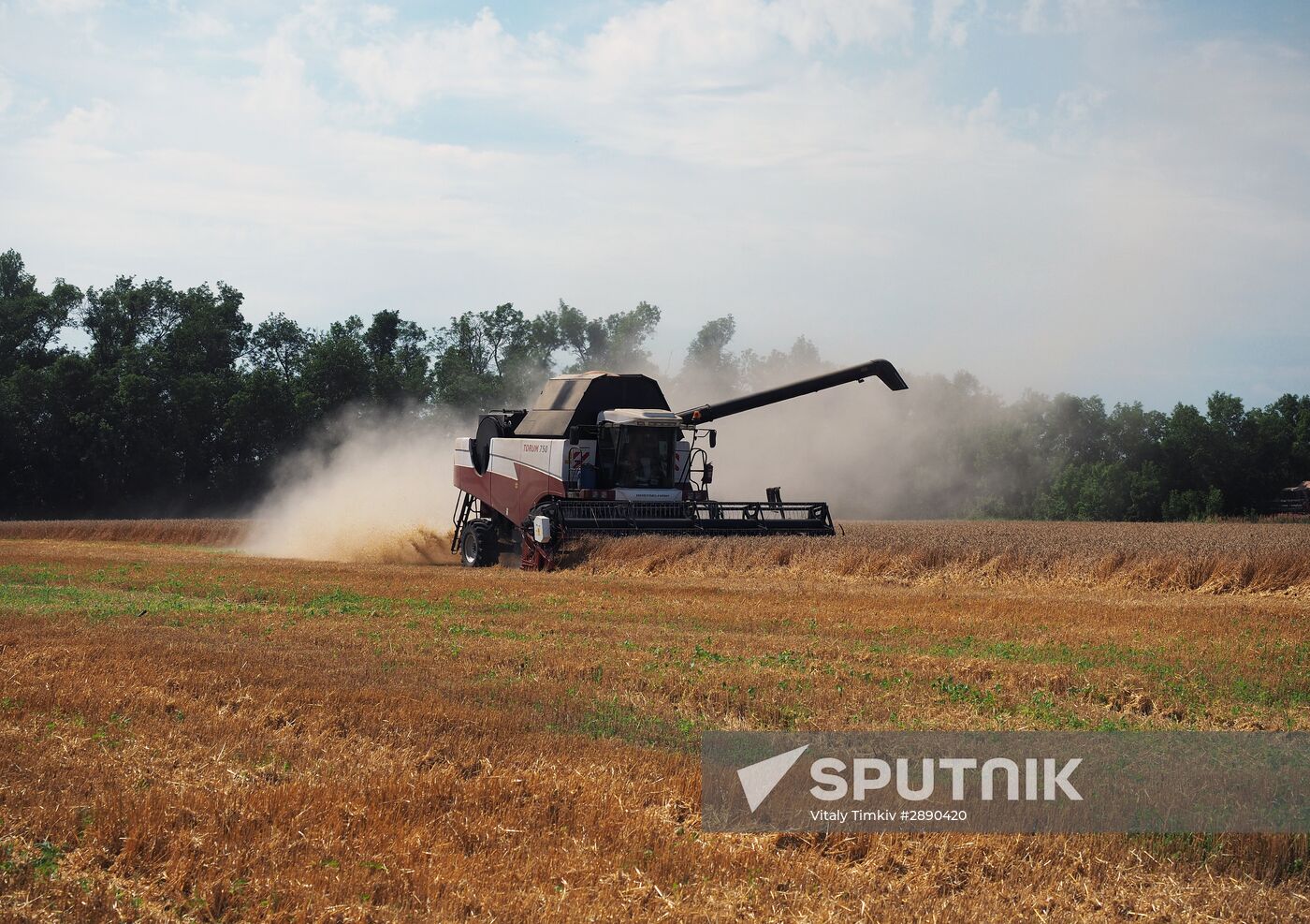 Wheat harvest in Krasnodar Territory