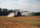 Wheat harvest in Krasnodar Territory