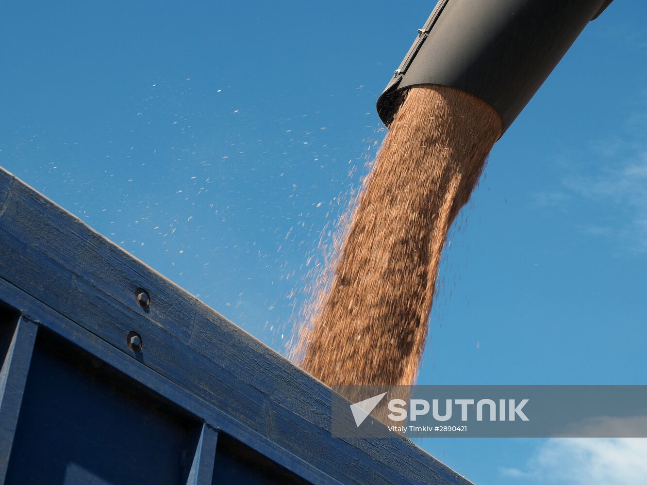 Wheat harvest in Krasnodar Territory