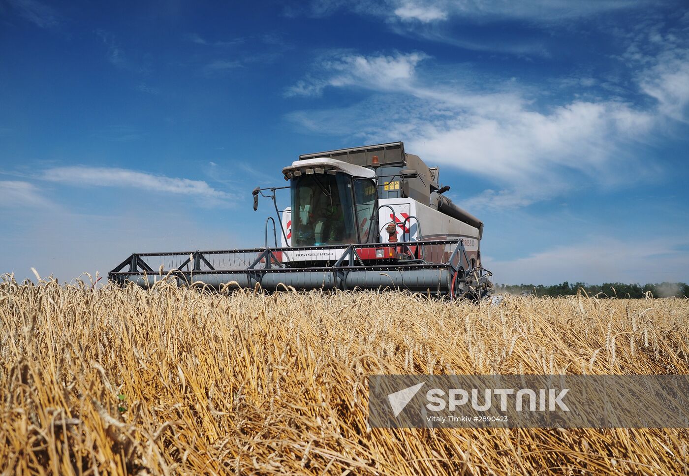 Wheat harvest in Krasnodar Territory
