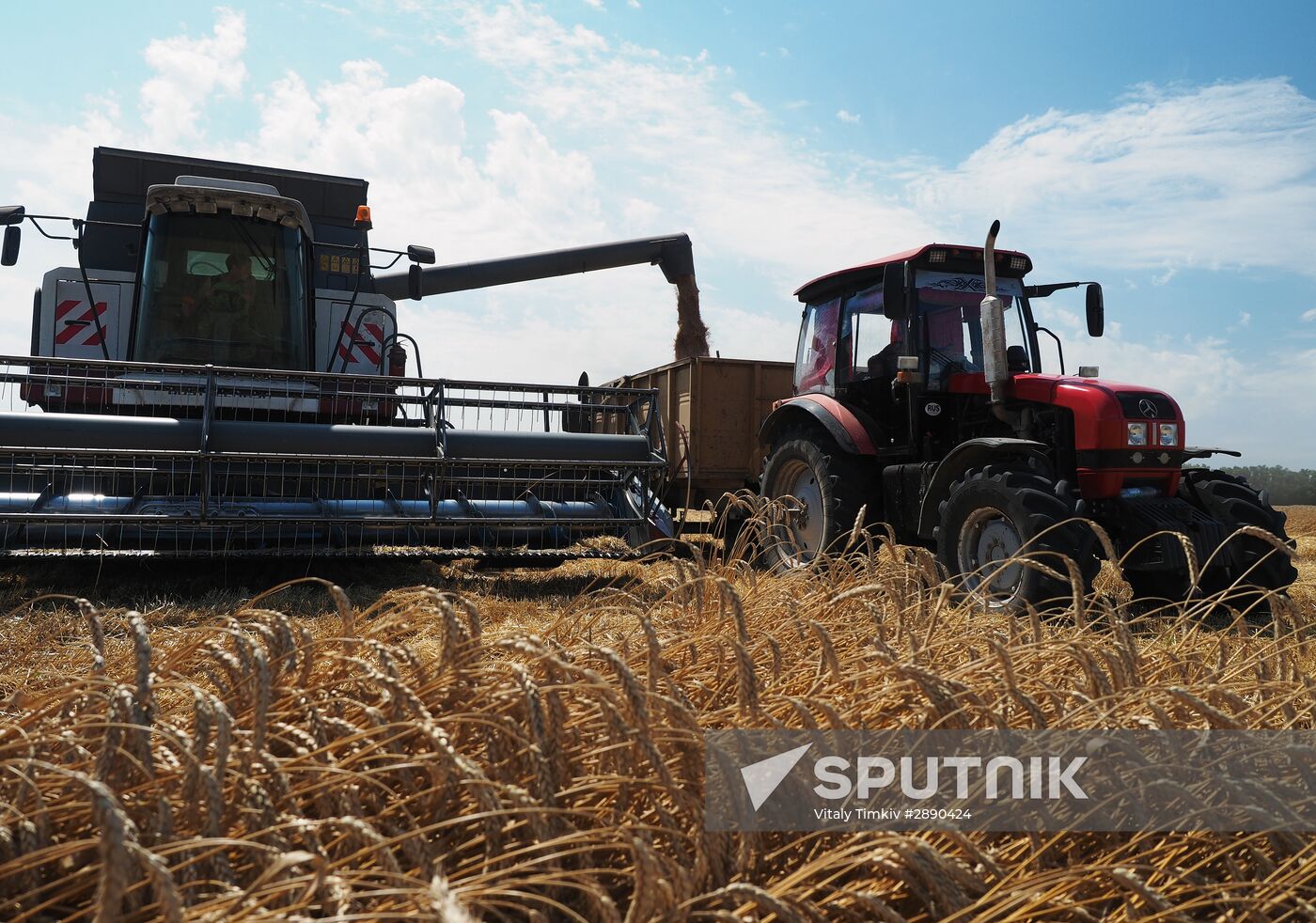 Wheat harvest in Krasnodar Territory
