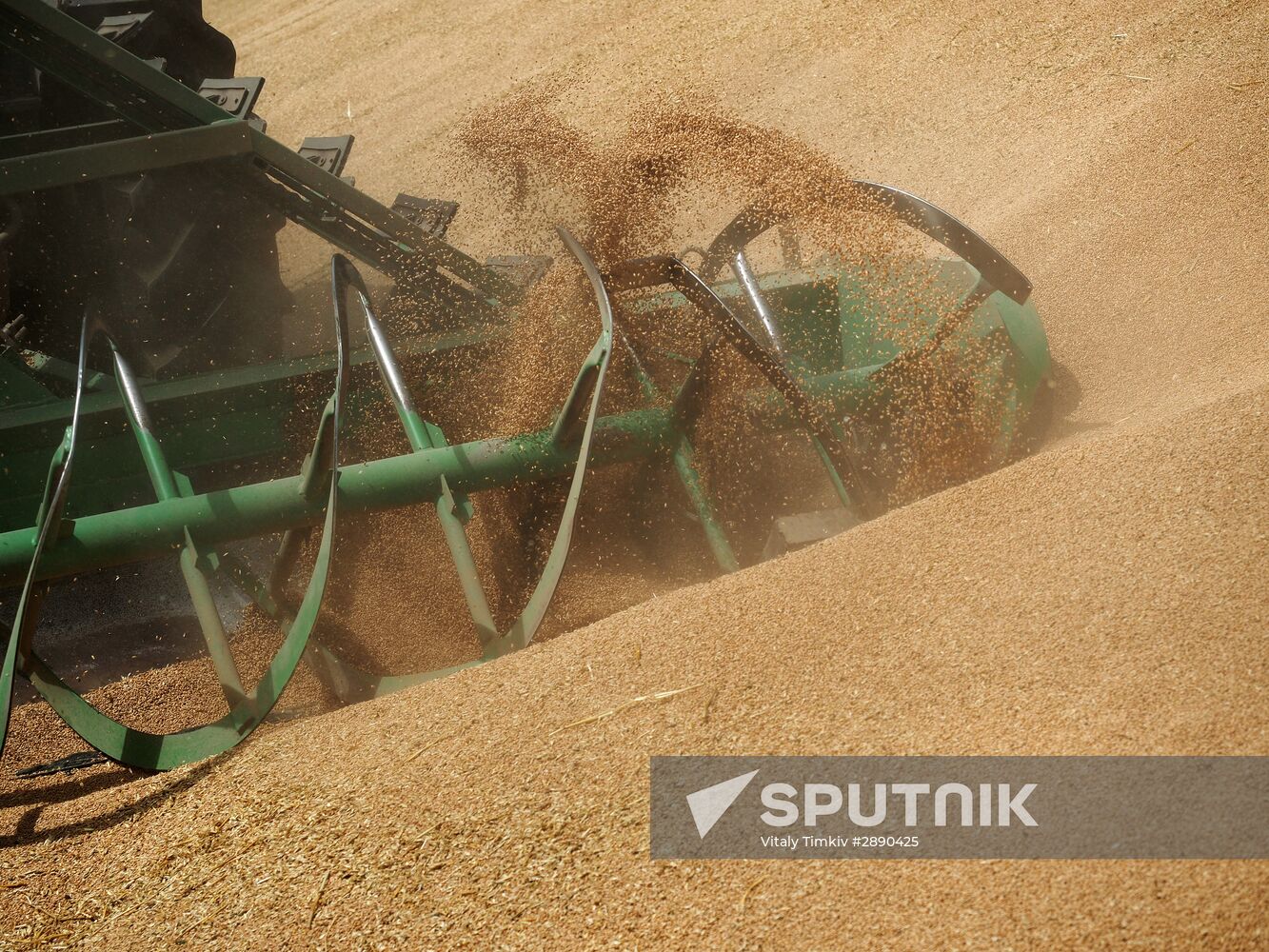 Wheat harvest in Krasnodar Territory