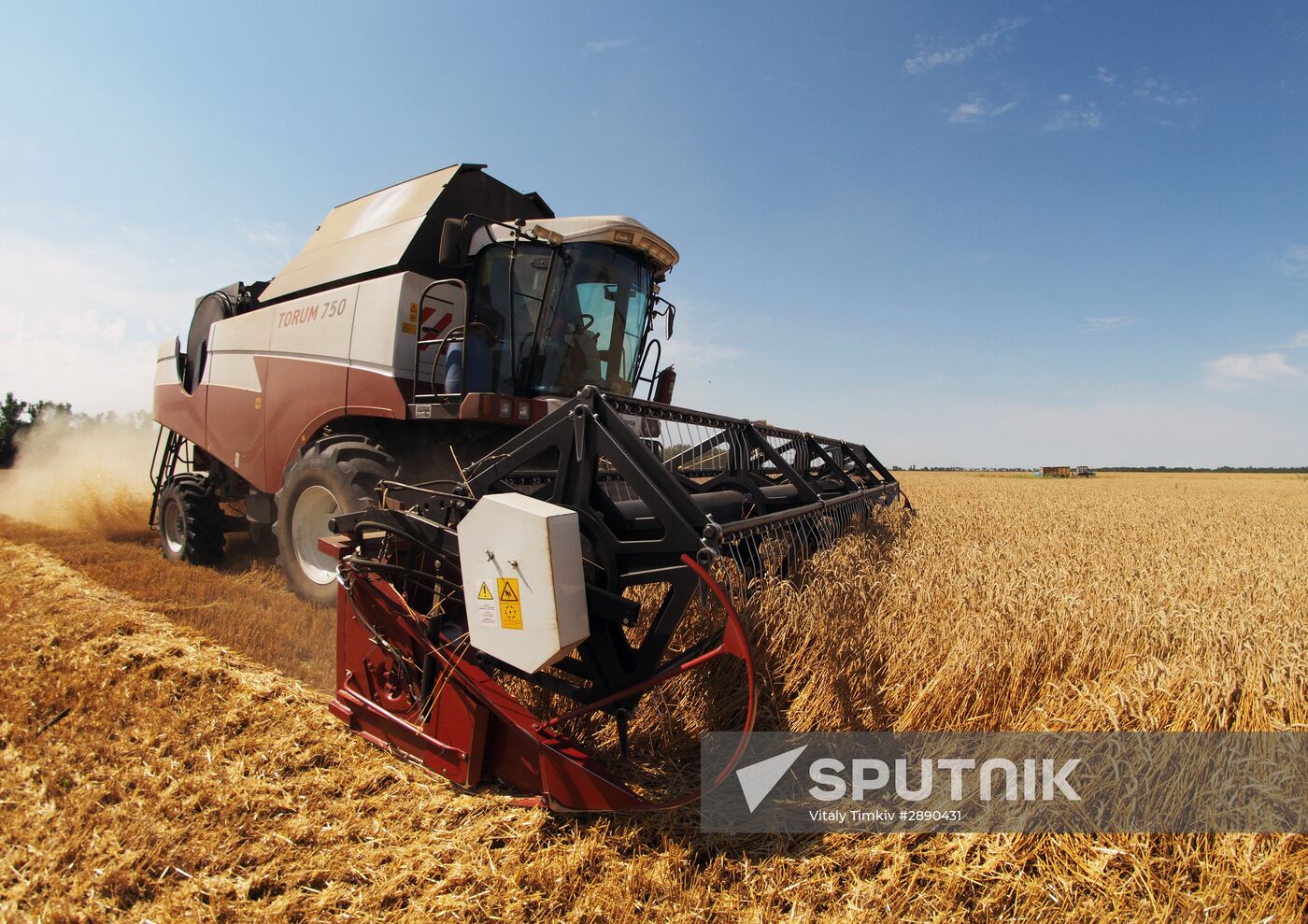 Wheat harvest in Krasnodar Territory