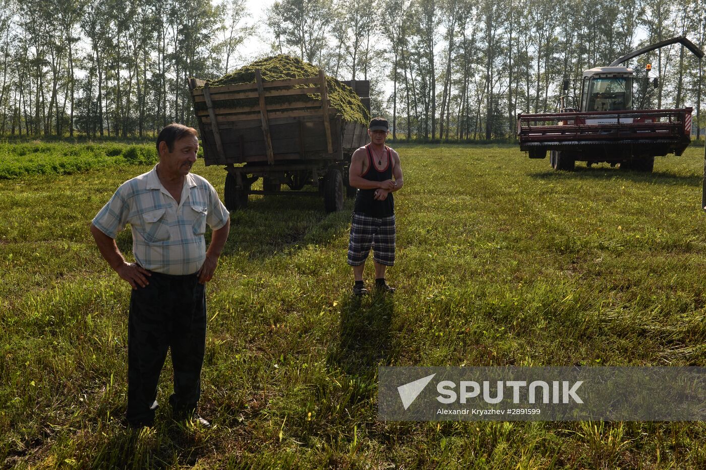 Agriculture in Novosibirsk Region