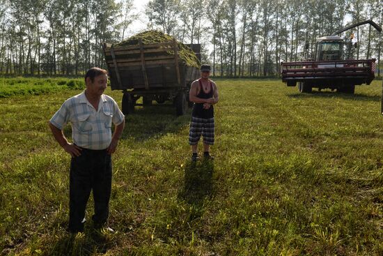 Agriculture in Novosibirsk Region