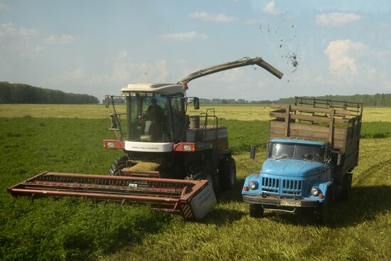 Agriculture in Novosibirsk Region