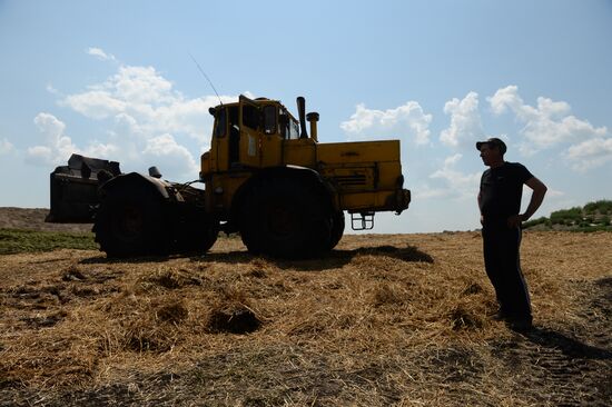 Agriculture in Novosibirsk Region