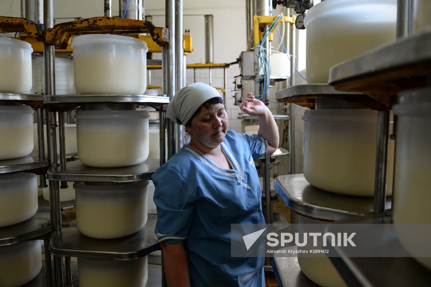 Agriculture in the Novosibirsk Region
