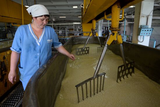 Agriculture in the Novosibirsk Region