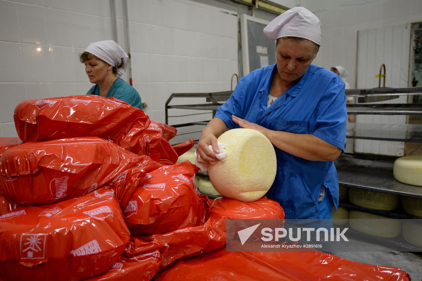 Agriculture in the Novosibirsk Region