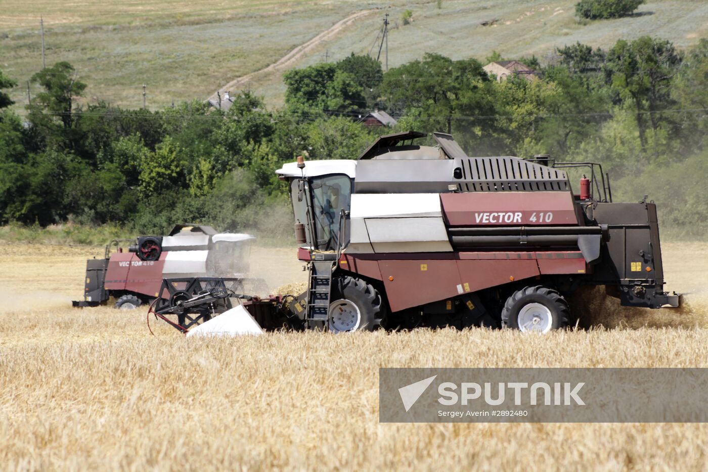 Grain harvestig in Donetsl People's Republic