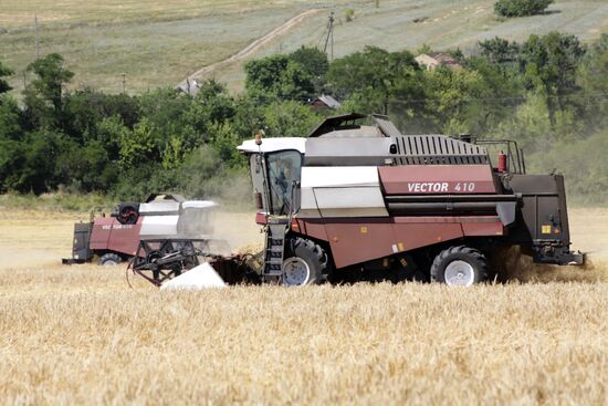 Grain harvestig in Donetsl People's Republic