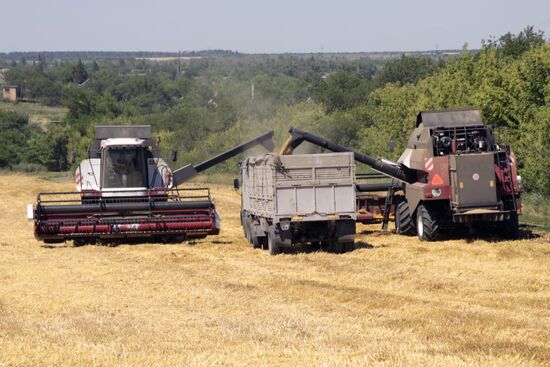 Grain harvestig in Donetsl People's Republic