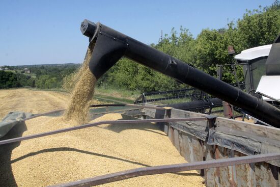Grain harvestig in Donetsl People's Republic