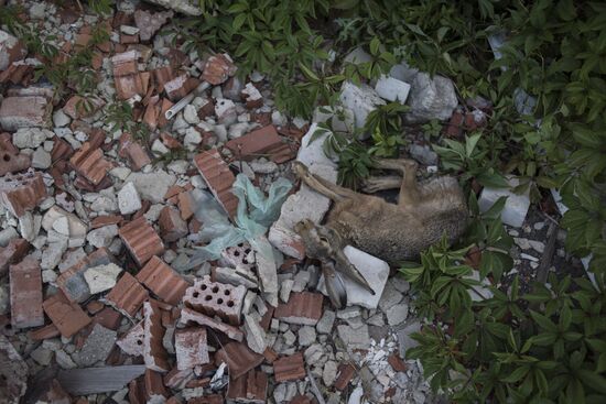 Donetsk Region update