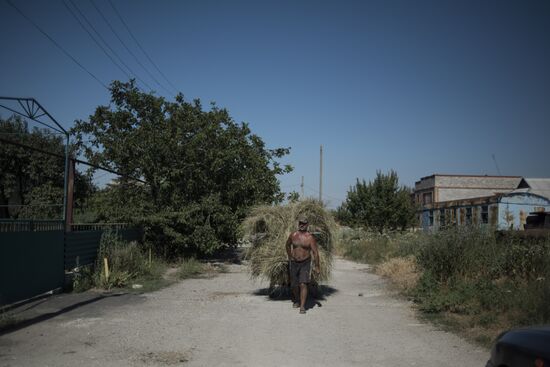 Donetsk Region update