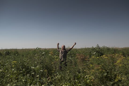 Donetsk Region update