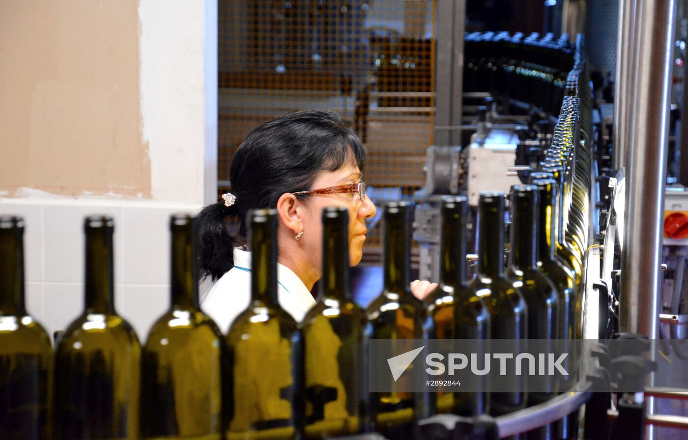 Abkhazia's wine-making industry