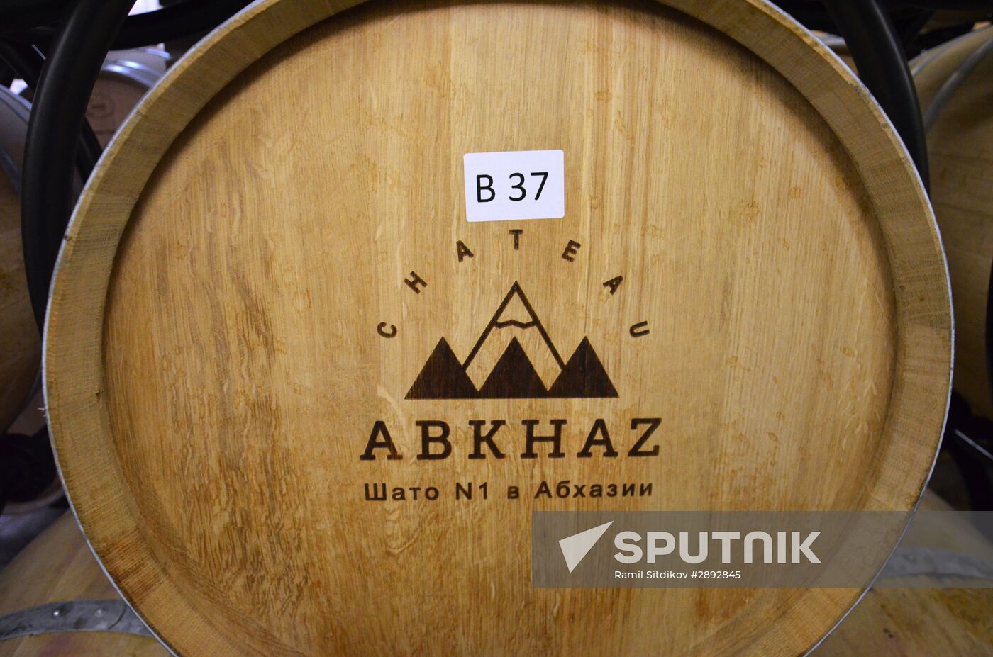 Abkhazia's wine-making industry