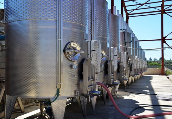 Abkhazia's wine-making industry