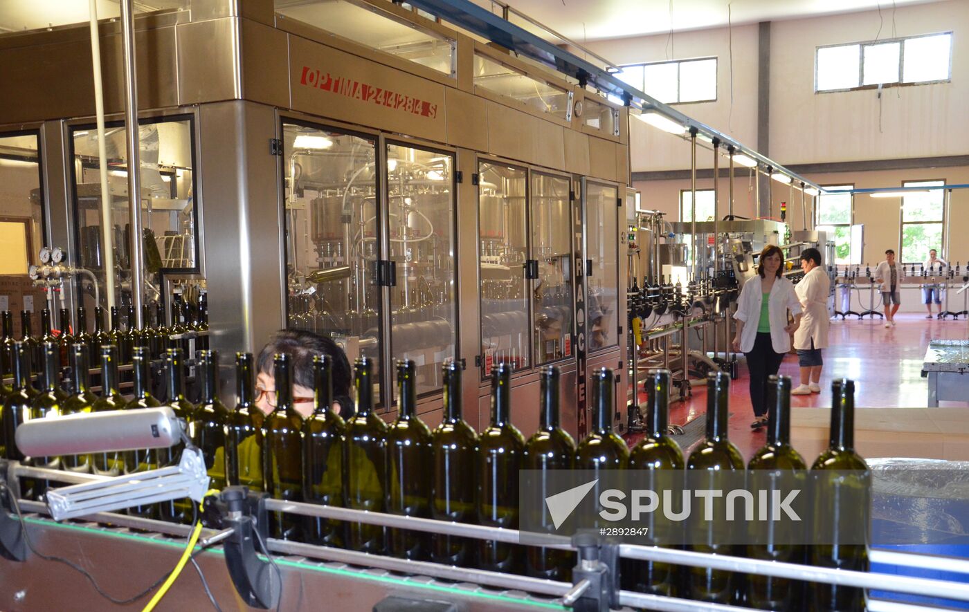 Abkhazia's wine-making industry