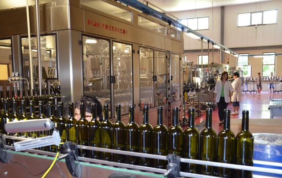 Abkhazia's wine-making industry