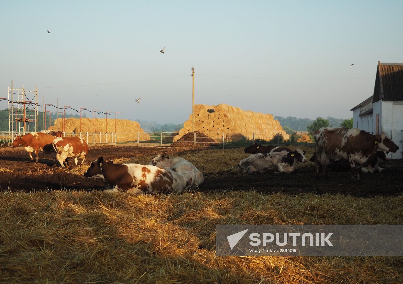 Kladovaya Solntsa farm