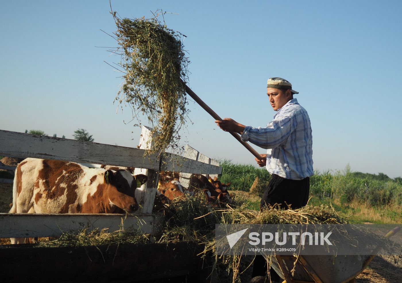 Kladovaya Solntsa farm