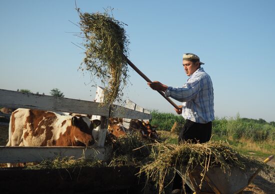 Kladovaya Solntsa farm