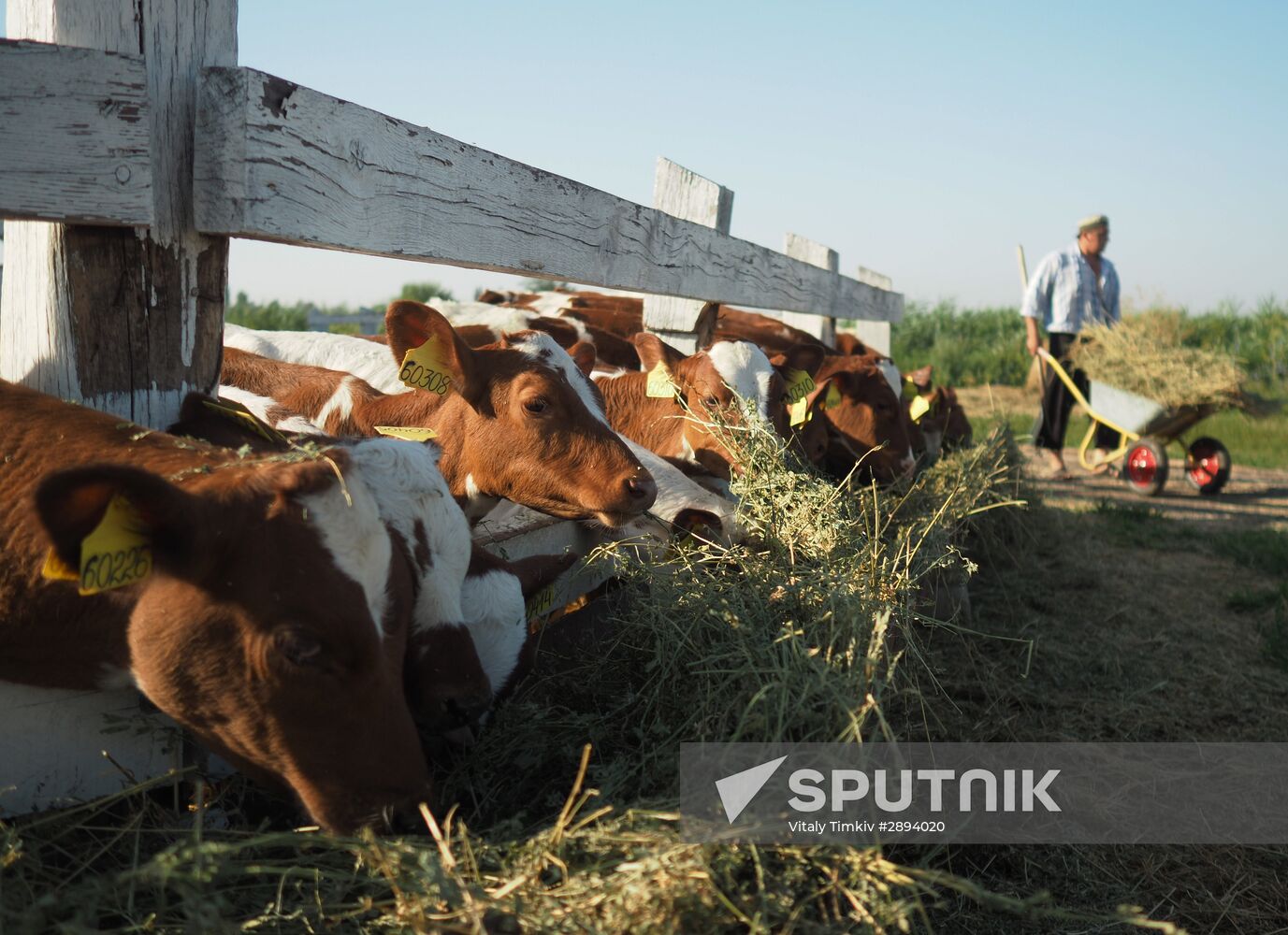 Kladovaya Solntsa farm